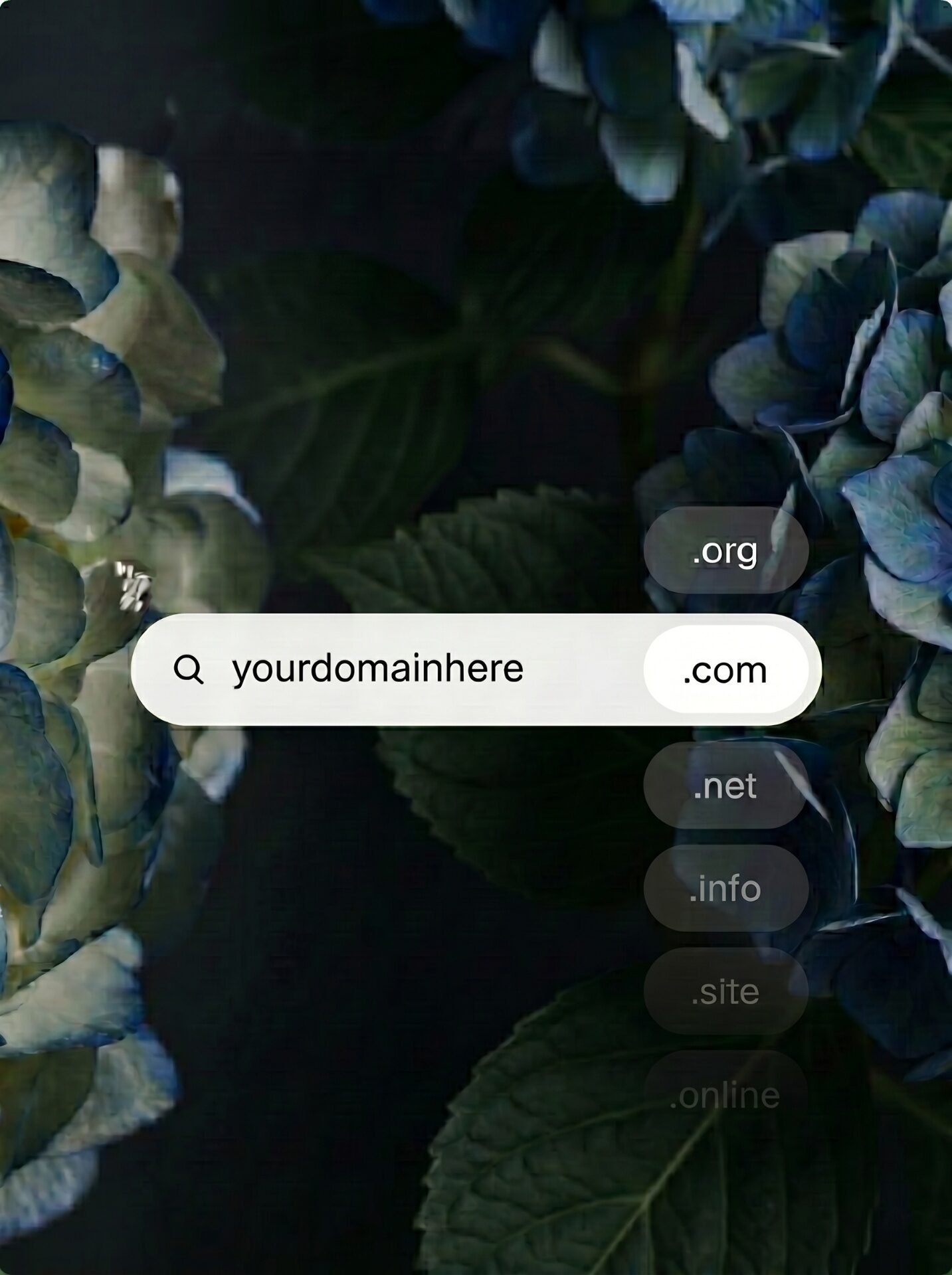 Responsive Layouts — premium website platform feature by Chocolate Umbrella Berlin